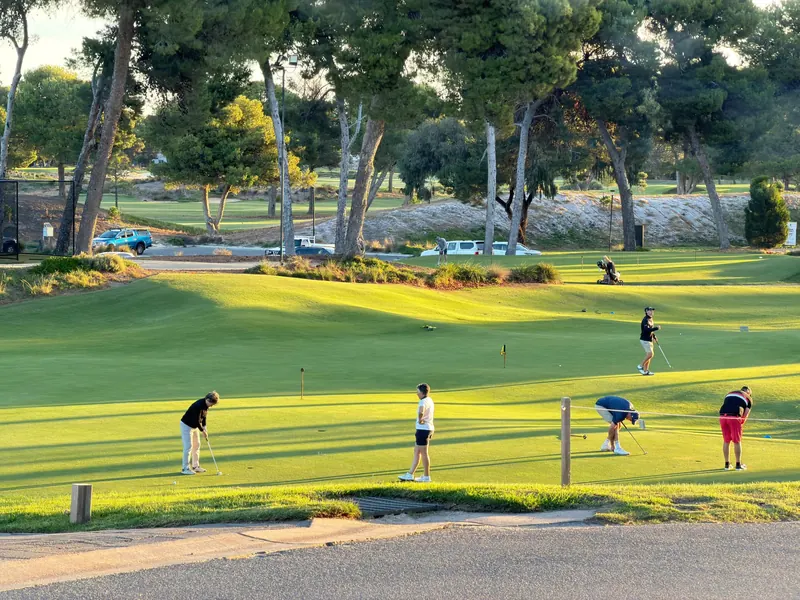 Golfers practicing on a sunny day at a beautiful green course surrounded by trees